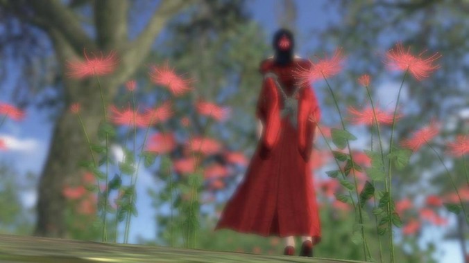 高中是什么样的啊？很青春吗？